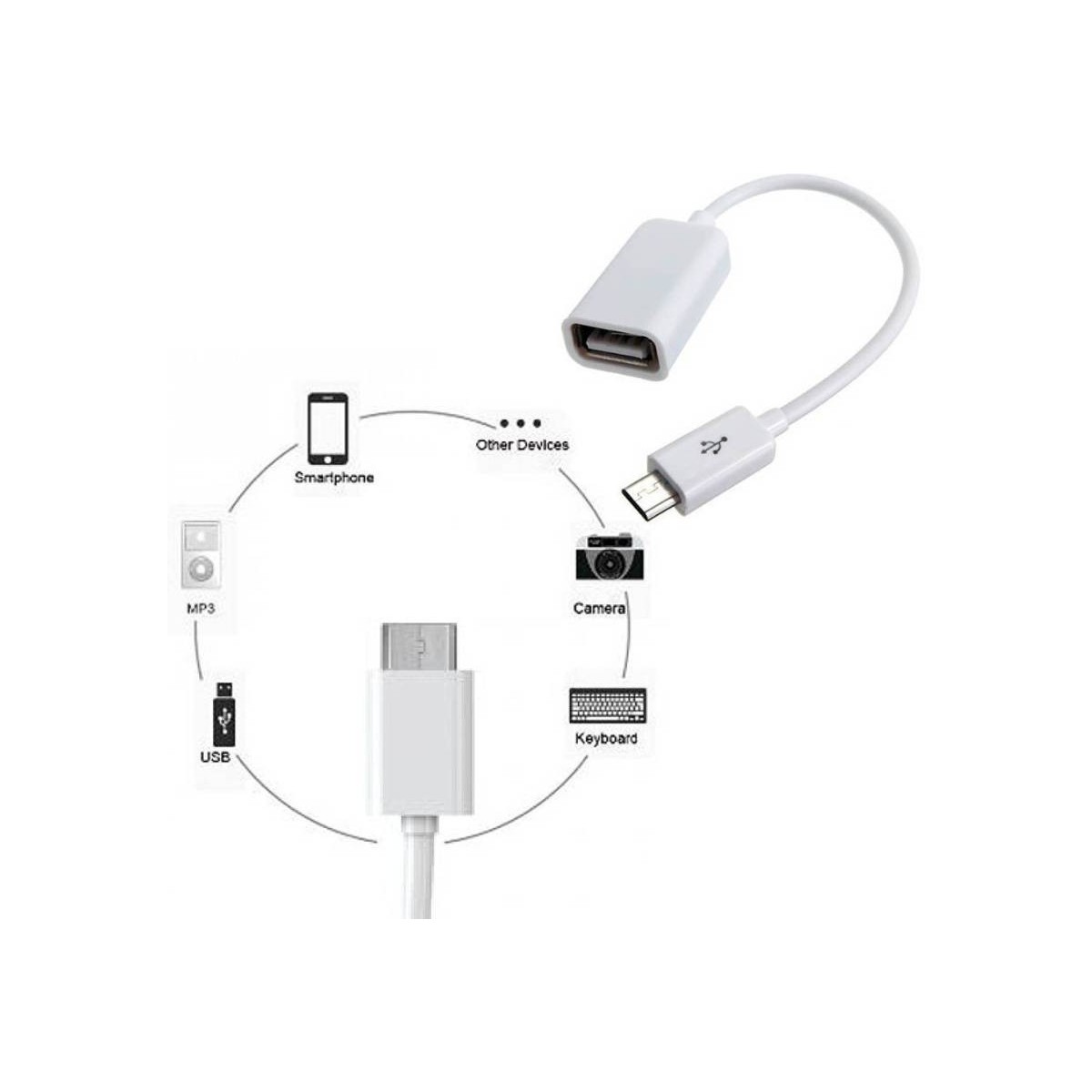 Adaptateur Micro Usb OTG Blanc