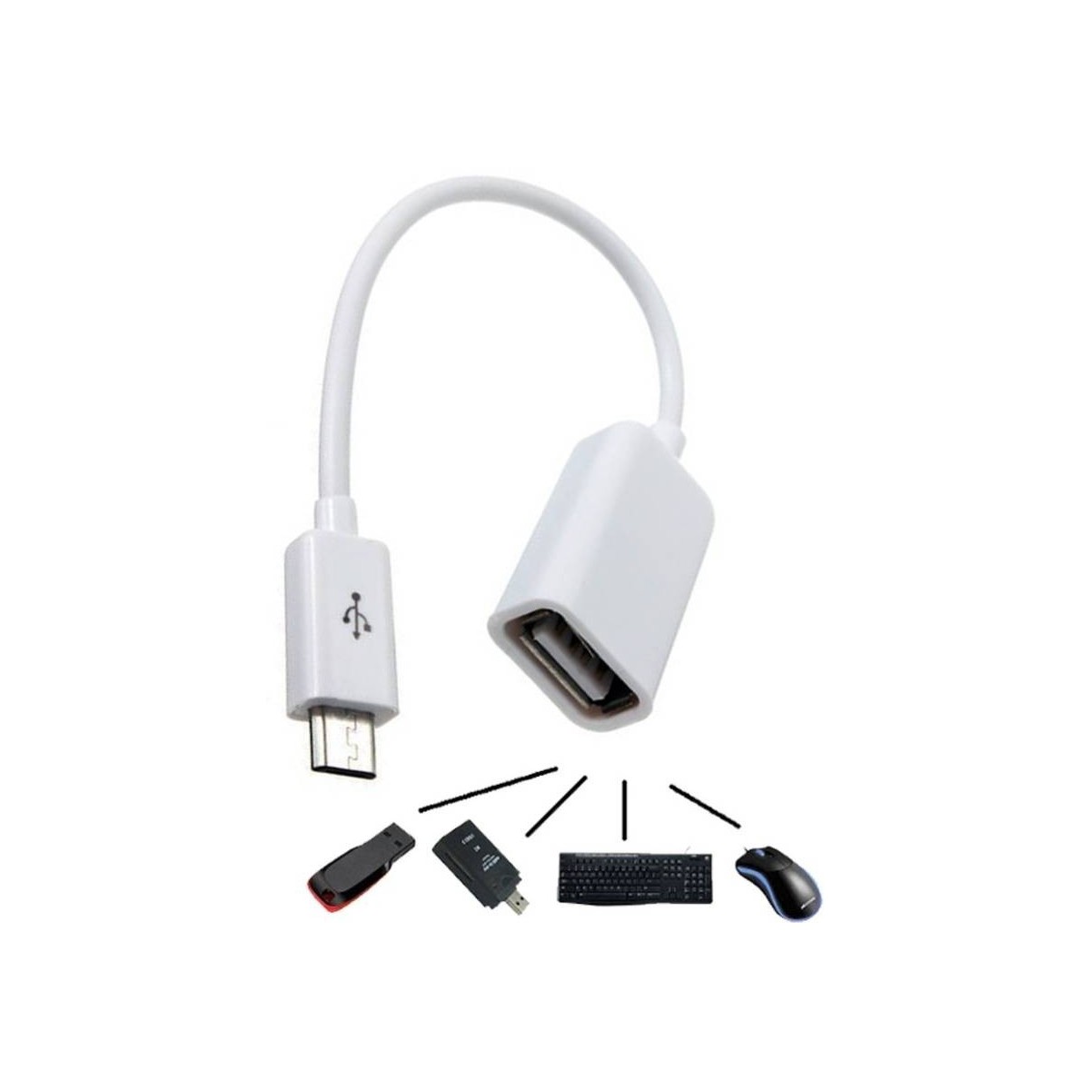 Adaptateur Micro Usb OTG Blanc