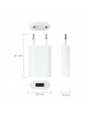 Chargeur Secteur USB compatible avec iPhone