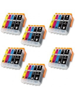 30 Cartouches compatibles avec EPSON T33 XL (Série Orange)