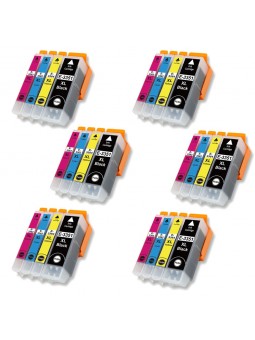 24 Cartouches compatibles avec EPSON T33 XL (Série Orange)