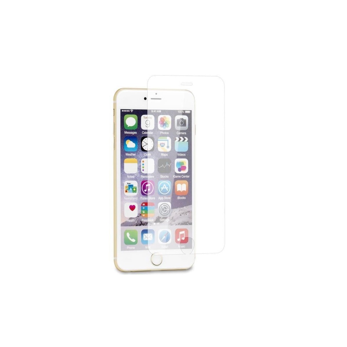 Verre Trempé Pour iPhone SE 2022 Avec Blister