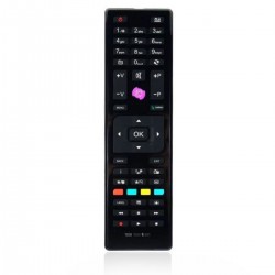 Télécommande JVC HD TV RC4875/RC-4875 Spécifique Finlux BUSH