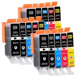 Pack de 15 Cartouches compatibles avec Canon PGI-530 CLI-531 pour PIXMA TS8750 et Pixma TS8751