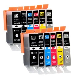 Pack de 12 Cartouches compatibles avec Canon PGI-530 CLI-531 pour PIXMA TS8750 et Pixma TS8751