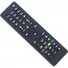 Télécommande JVC HD TV RC4875/RC-4875 Spécifique Finlux BUSH