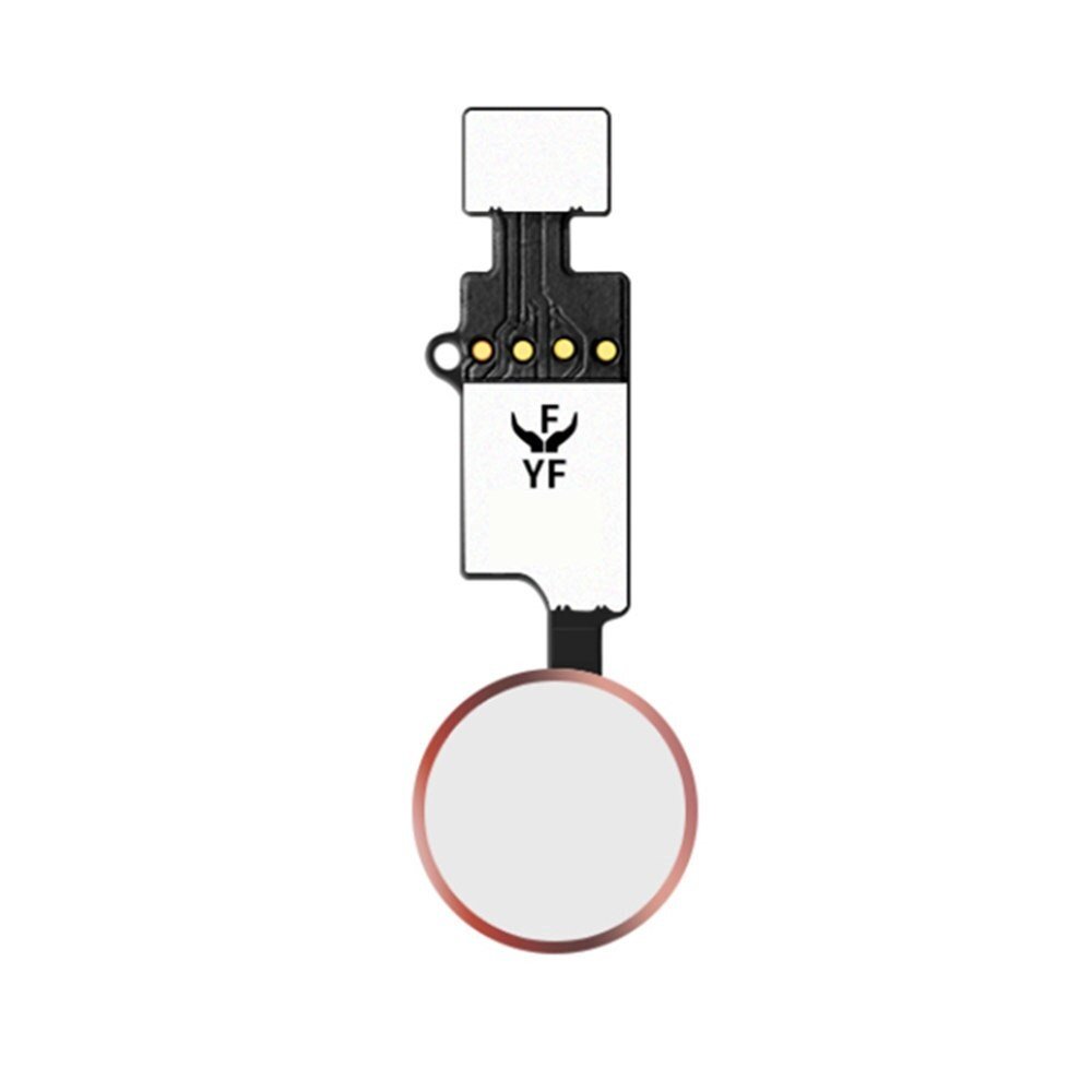 Bouton Home Fonctionnel avec Nappe Flex Compatible avec iPhone 7 Blanc-Rose